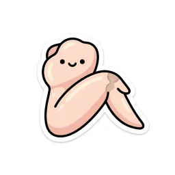 닭 날개