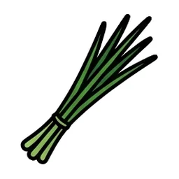 쪽파