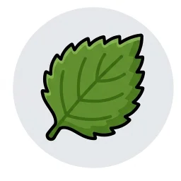 루꼴라