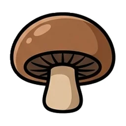 버섯