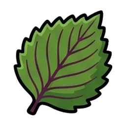 깻잎