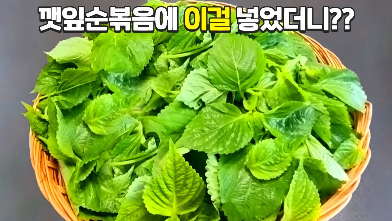 대표 이미지