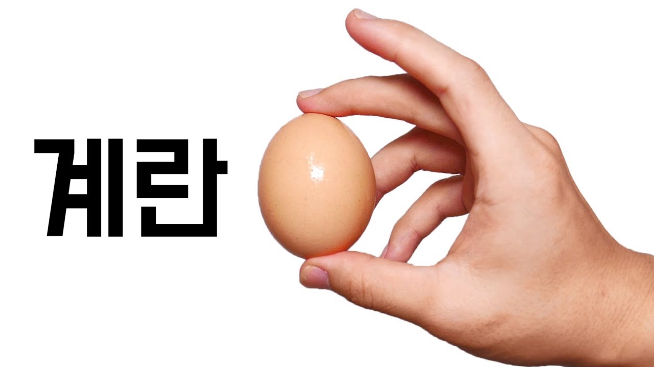 대표 이미지