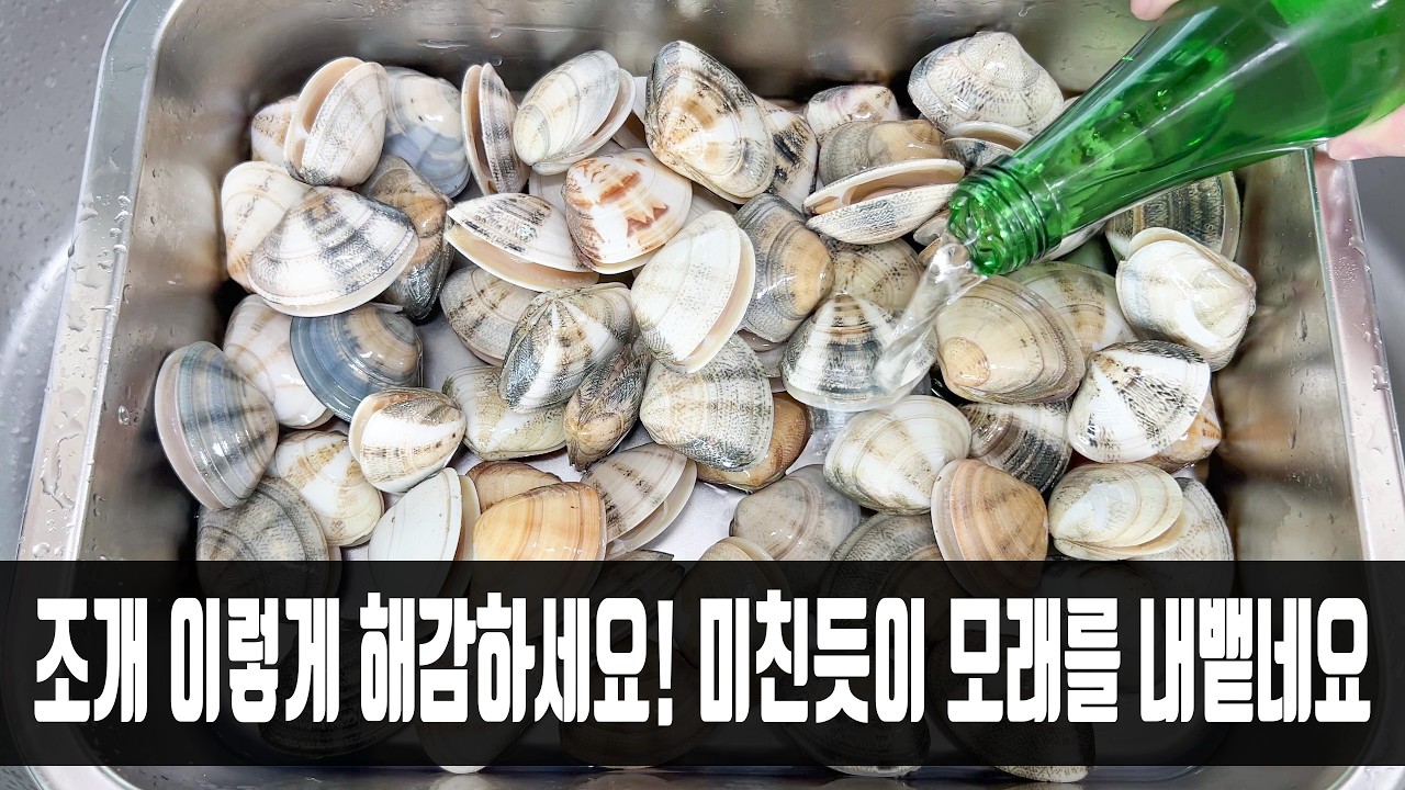 대표 이미지