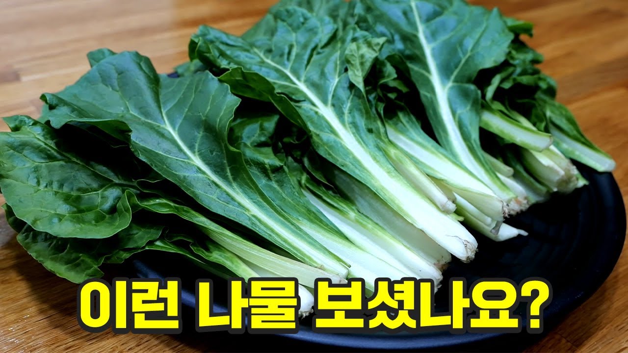 대표 이미지