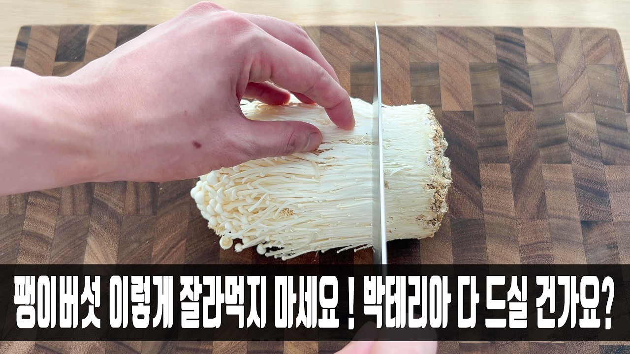 대표 이미지