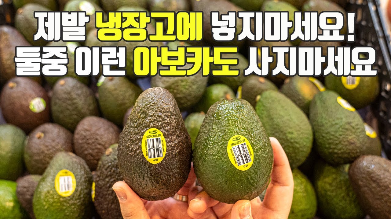 대표 이미지