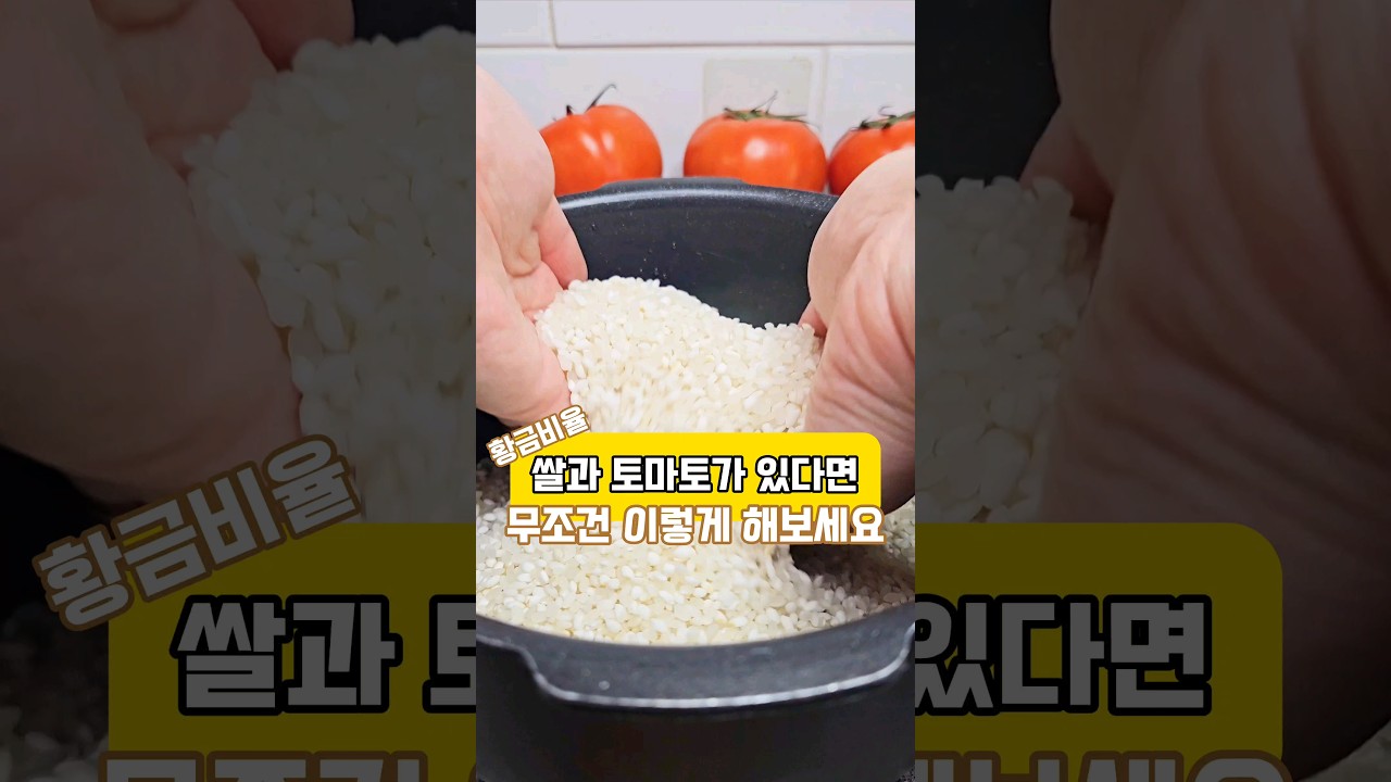 대표 이미지