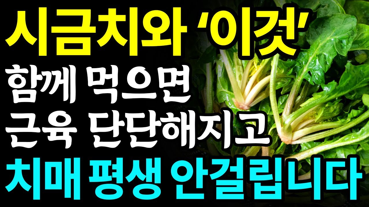 대표 이미지