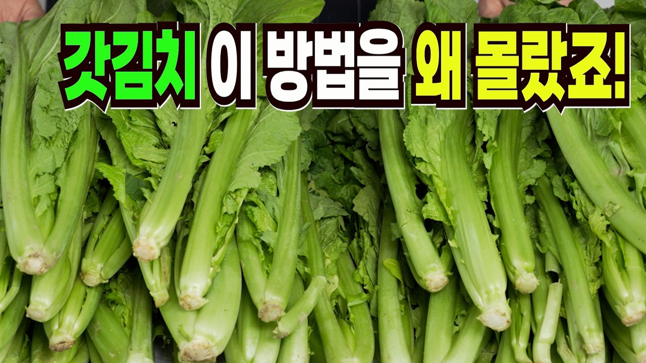 대표 이미지