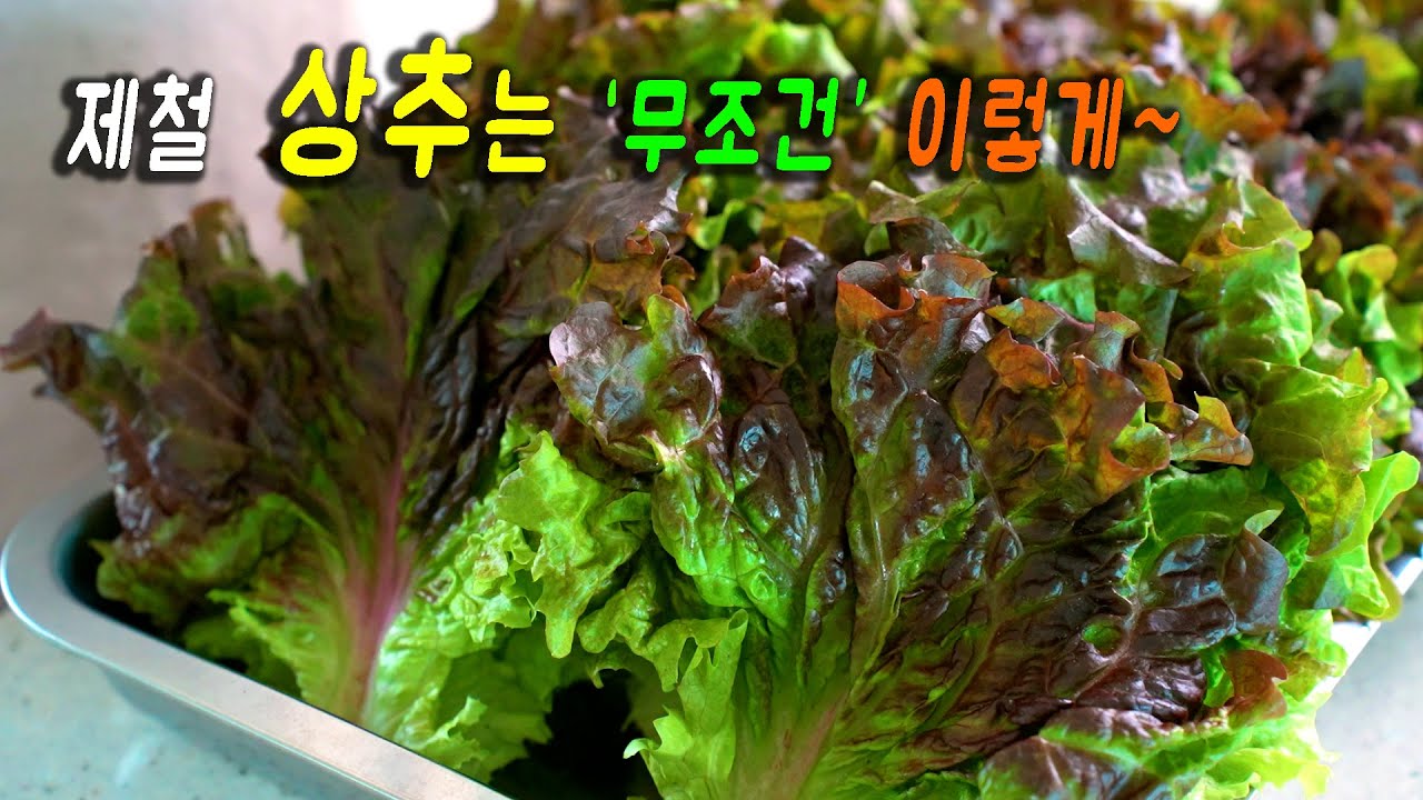 대표 이미지